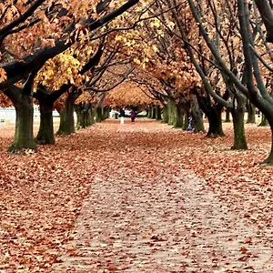 Eaglehawk Park Holiday park Canberra